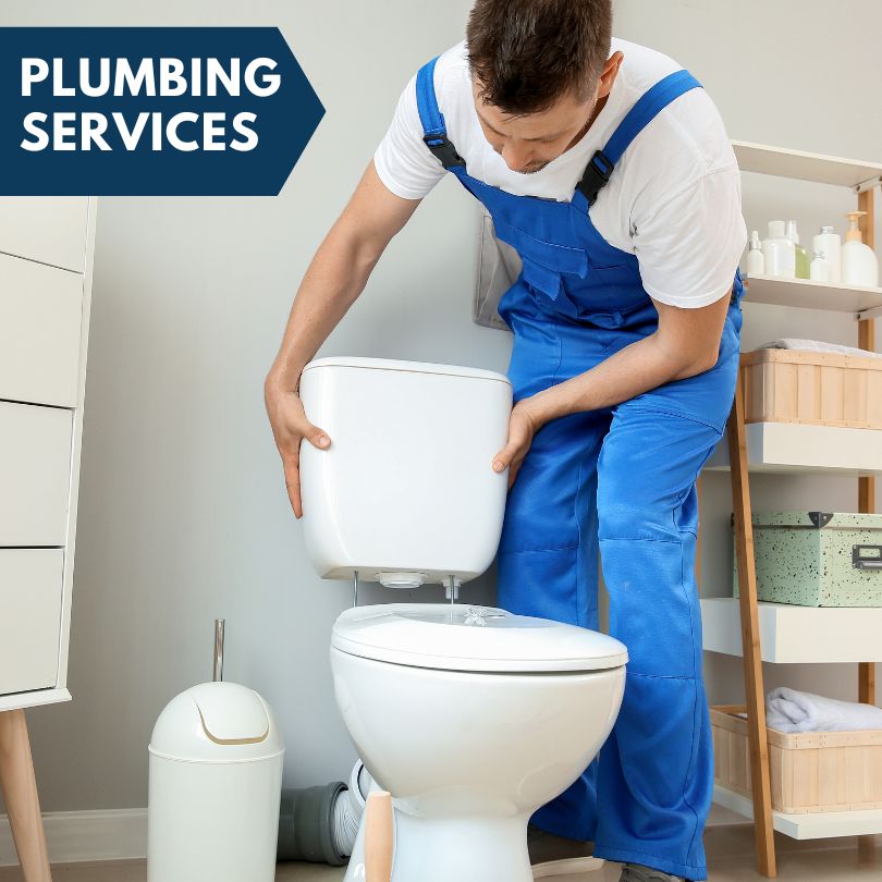 Plumbing Company in Williamsville, IL
